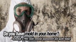 Water Damage Toronto Mold Removal - Emergency Plumber | GTA Restoration in North York, ON (Ontario) - Opening Hours