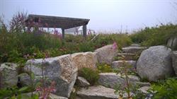 Daves Gardening Services, Hubbards, NS opening hours