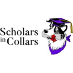 Scholars In Collars Dog Training, Burlington, ON opening hours