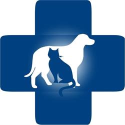 Edmonton Spay and Neuter Clinic, opening hours