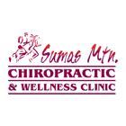 Sumas Mountain Chiropractic & Wellness Clinic, Abbotsford, BC opening hours
