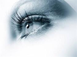 Erie Street Eye Clinic, Stratford, ON opening hours