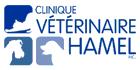 Clinique Vétérinaire Hamel, L'Ancienne-Lorette, QC opening hours