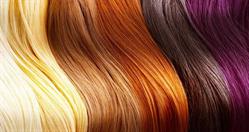 House Of Hair Design, Vineland, ON opening hours