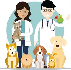 Huff Animal Hospital Ltd, Delta, BC opening hours