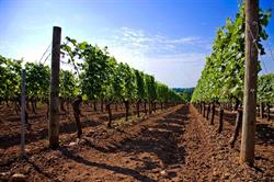 Chaberton Estate Winery, Langley, BC opening hours