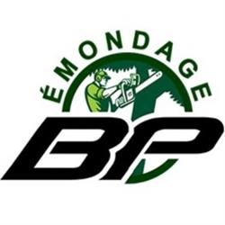 BP Émondage et Taillage de Haies Inc., Saint-Ambroise-de-Kildare, QC opening hours