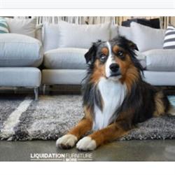 Liquidation Furniture & More, Richmond, BC opening hours