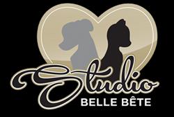Studio Belle Bête, Gatineau, QC opening hours
