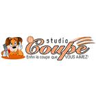 Studio La Coupe - Tonte et toilettage, Gatineau, QC opening hours