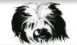 Margo's Pet Grooming, Stratford, ON opening hours