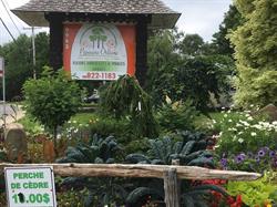 Pepiniere Orleans Enr, L'Ange-Gardien, QC opening hours