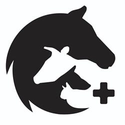 Pioneer Veterinary Services, Sundre, AB opening hours