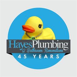 Hayes Plumbing, Oshawa, ON opening hours