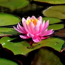 Little River Holistic Therapies, Digby, NS opening hours