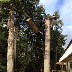 Peerless Tree Services (2016) Ltd, Sechelt, BC opening hours