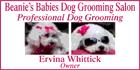 Beanies Babies Dog Grooming, Cambridge, ON opening hours