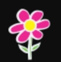 That Flower Shop on Vedder, Chilliwack, BC opening hours