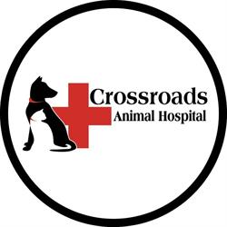 Crossroads Animal Hospital, Medicine Hat, AB opening hours