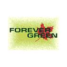 Forever Green, Newmarket, ON opening hours