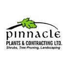 Pinnacle Sod, Taber, AB opening hours