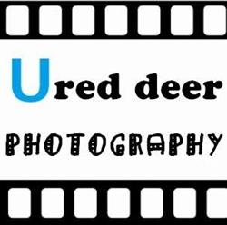 Ureddeer Photography, Red Deer, AB opening hours