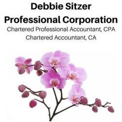 Debbie Sitzer Professional Corporation CPA CA, Barrie, ON opening hours