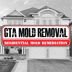GTA Mold Removal Mississauga, opening hours