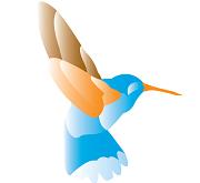 Mindful Movement, Surrey, BC opening hours