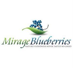 Mirage Blueberries, Abbotsford, BC opening hours