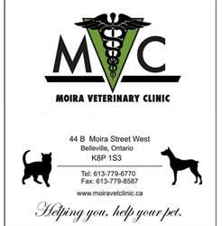 Moira Veterinary Clinic, Belleville, ON opening hours