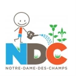 École élémentaire catholique Notre-Dame-des-Champs, Orleans, ON opening hours