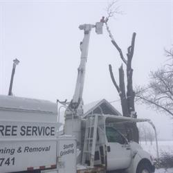 Acorn Tree Service, Strathroy, ON opening hours