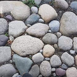 Northern Focus Counselling, Whitehorse, YT opening hours