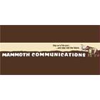 Mammoth Communications, East St. Paul, MB opening hours