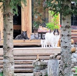 Old Cowboy Ranch, Westbridge, BC opening hours