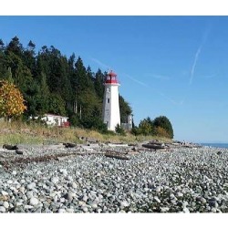 Rod Chant Counselling, Courtenay, BC opening hours