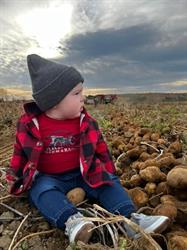 Potatoes New Brunswick, Grand Falls, NB opening hours