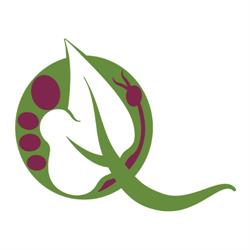 Qubit Systems inc., Kingston, ON opening hours