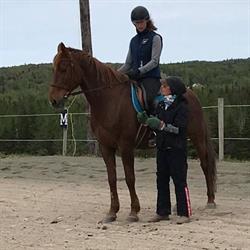 Reaching Strides Equestrian Centre, Port Hood, NS opening hours