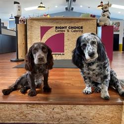Right Choice Camps & Catering, Edmonton, AB opening hours