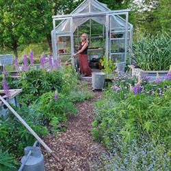 Rogers Custom Greenhouse Mfg, Brantford, ON opening hours