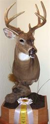 Ted's Taxidermy, Regina, SK opening hours