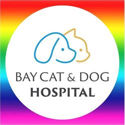 Bay Cat & Dog Hospital, Toronto, ON opening hours