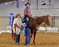 Symphony Stables, Wheatley, ON opening hours