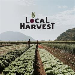 The Local Harvest Market, Chilliwack, BC opening hours