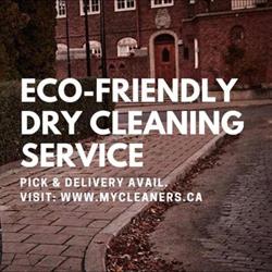 Blue Leaf Cleaners, Hamilton, ON opening hours