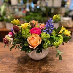 Vanderfleet Flowers, Etobicoke, ON opening hours