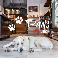 Paws Evolution, Waterloo, ON opening hours