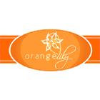 Orange Lily Hair & Body Studio, Fort McMurray, AB opening hours